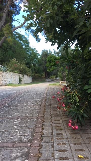 Tenuta Valle Della Corte 비에스테 외부 사진