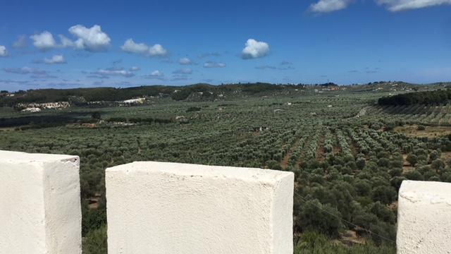 Tenuta Valle Della Corte 비에스테 외부 사진